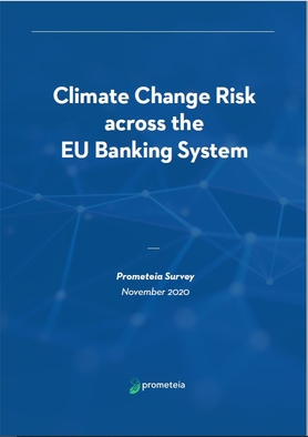 Climate Change Risk across the EU Banking System